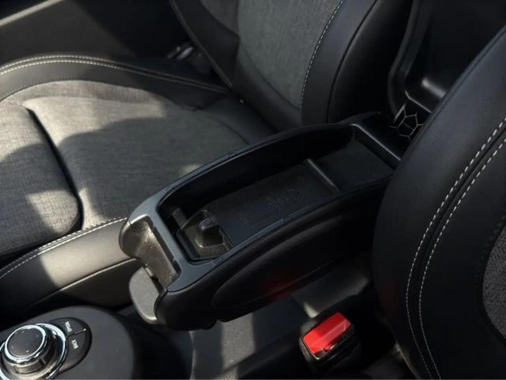 Mini Mini Electric