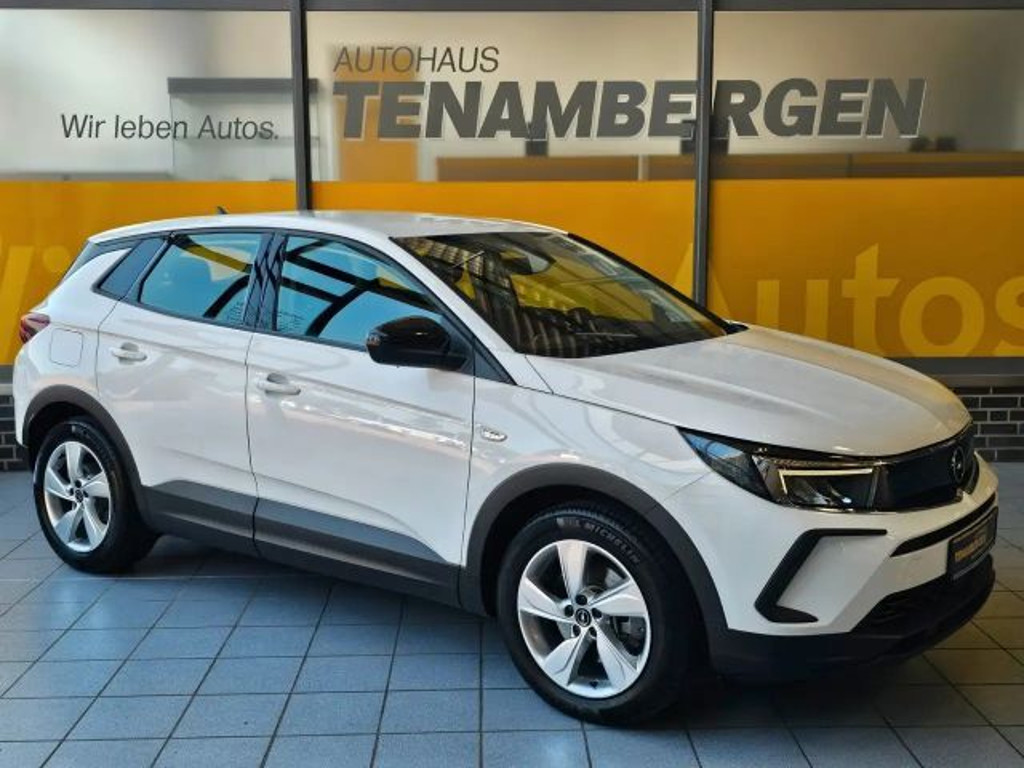 Opel Grandland X Grandland  Plugin Hybrid AHK Navi Kamera LED