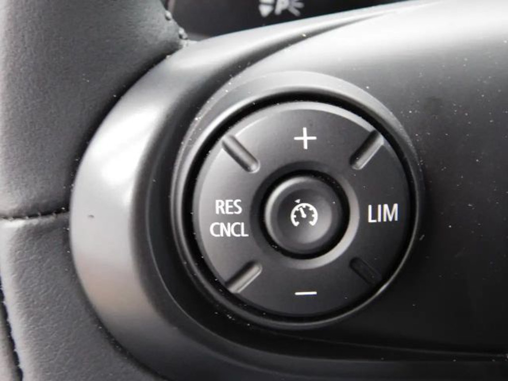 Mini Mini Electric