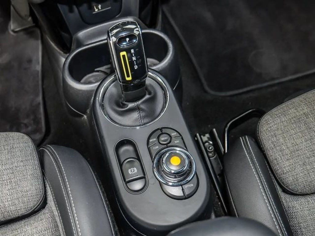 Mini Mini Electric
