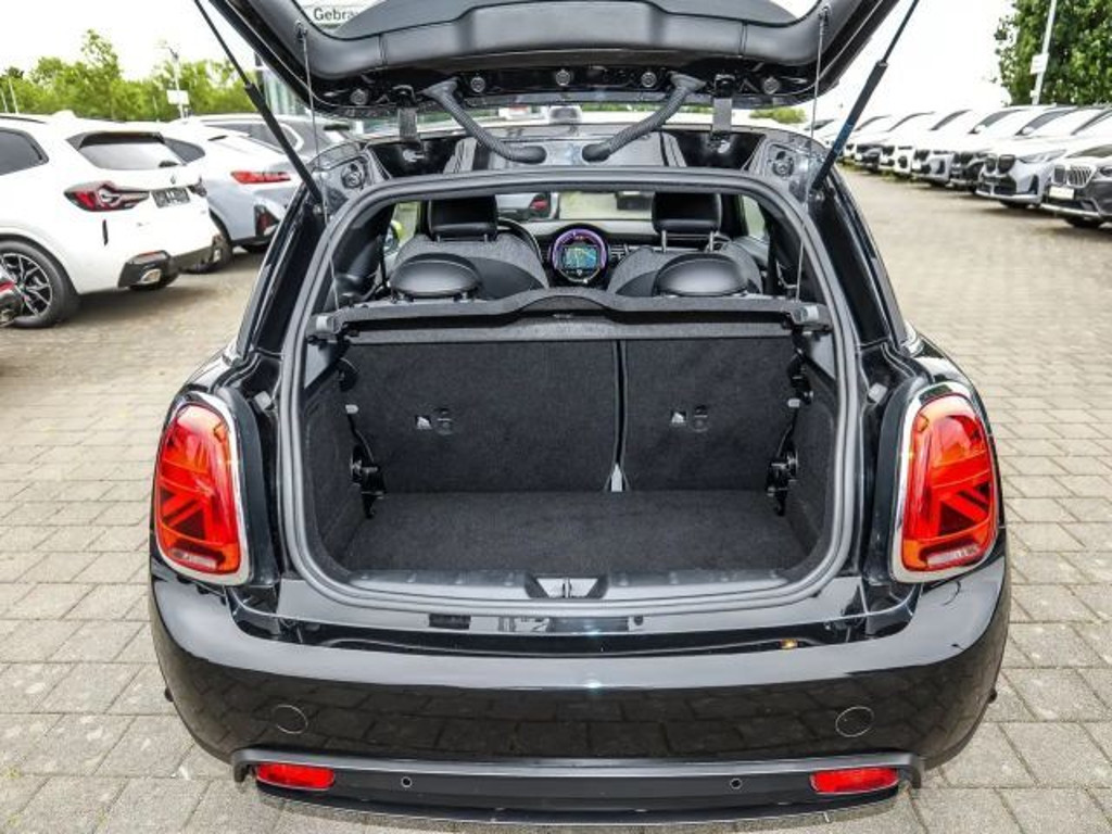 Mini Mini Electric