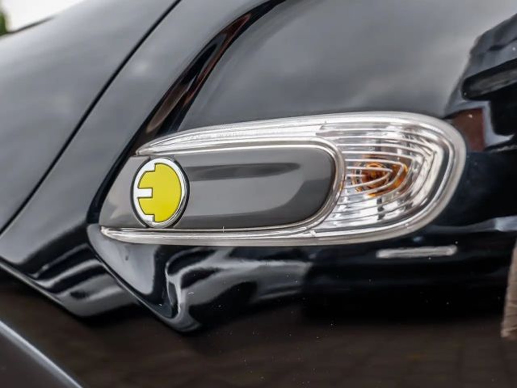 Mini Mini Electric
