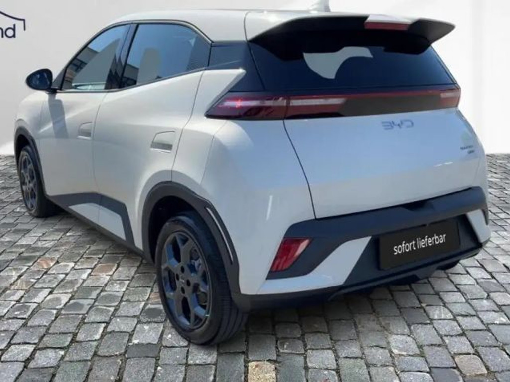 BYD Dolphin Surf