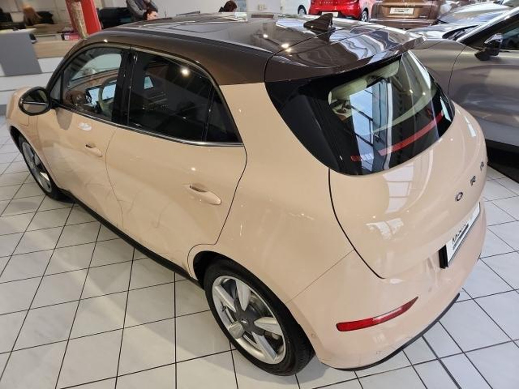 Ora Funky Cat