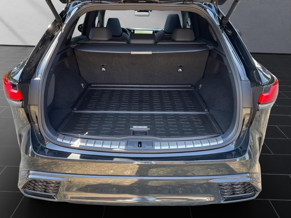 Lexus RX-Serie