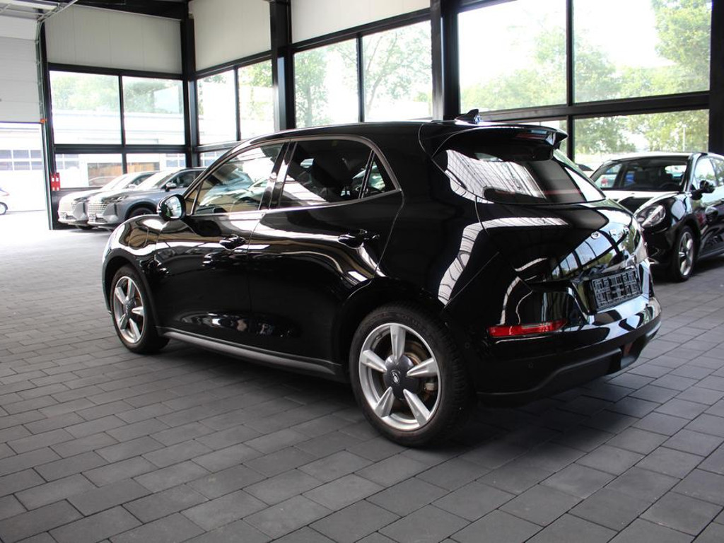 Ora Funky Cat