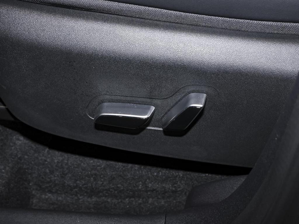 BYD Dolphin Surf