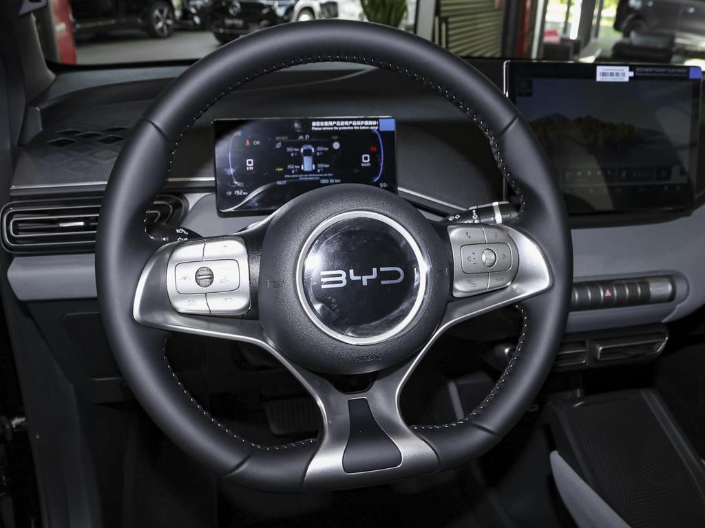 BYD Dolphin Surf
