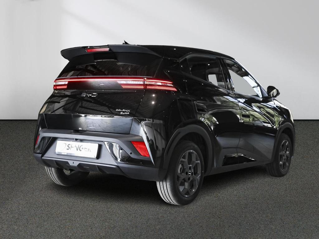 BYD Dolphin Surf