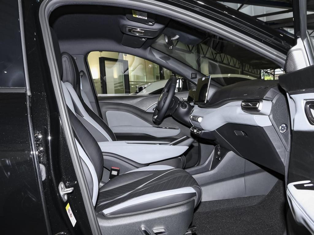 BYD Dolphin Surf