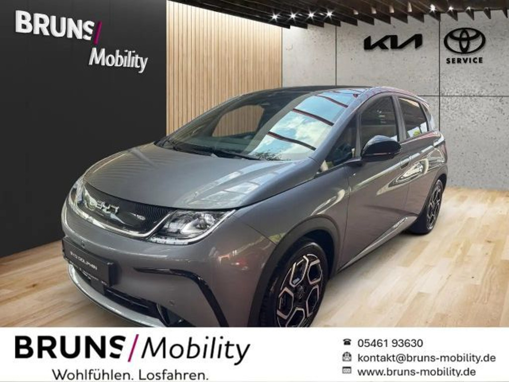 BYD Dolphin Design