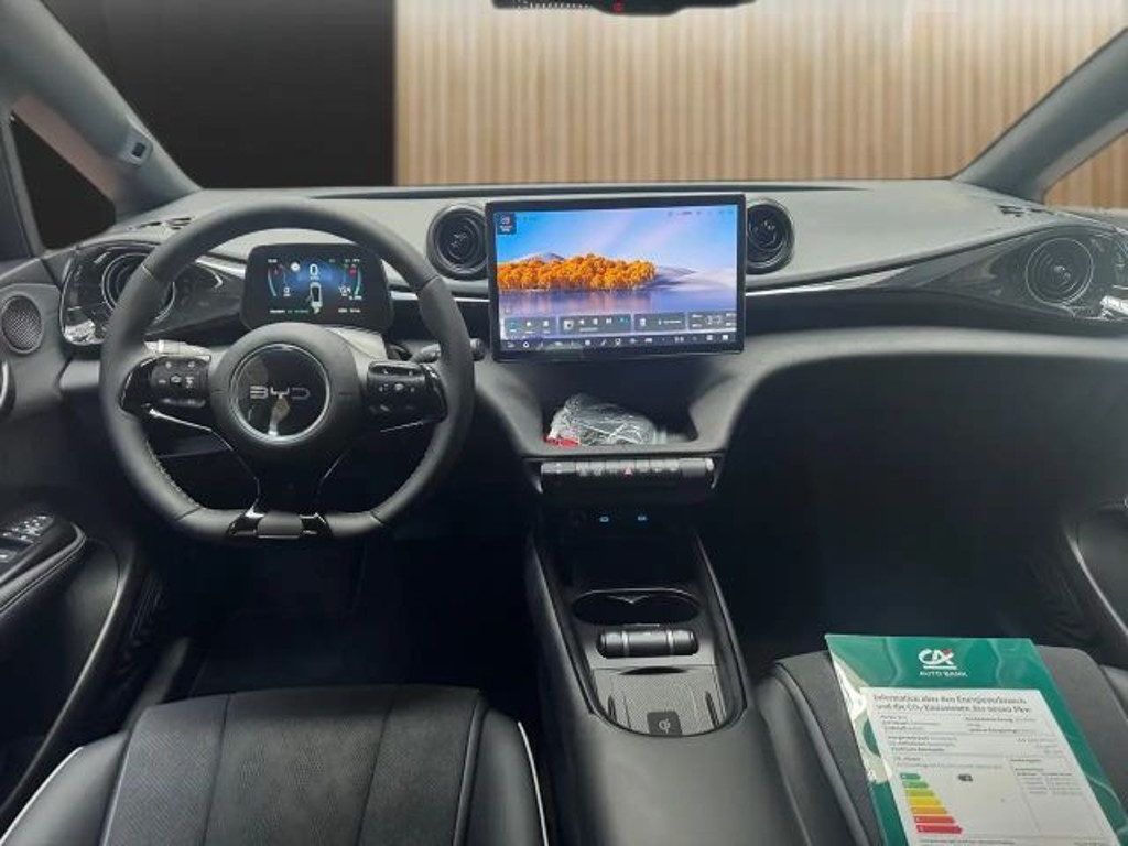 BYD Dolphin