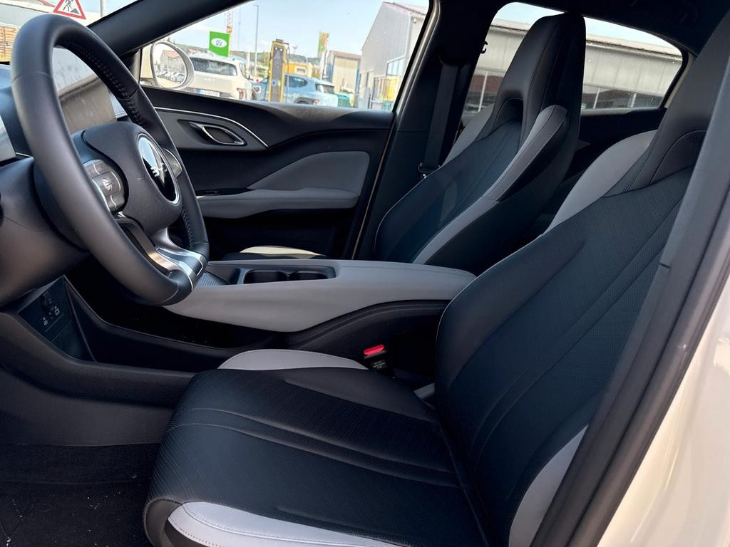 BYD Dolphin Surf