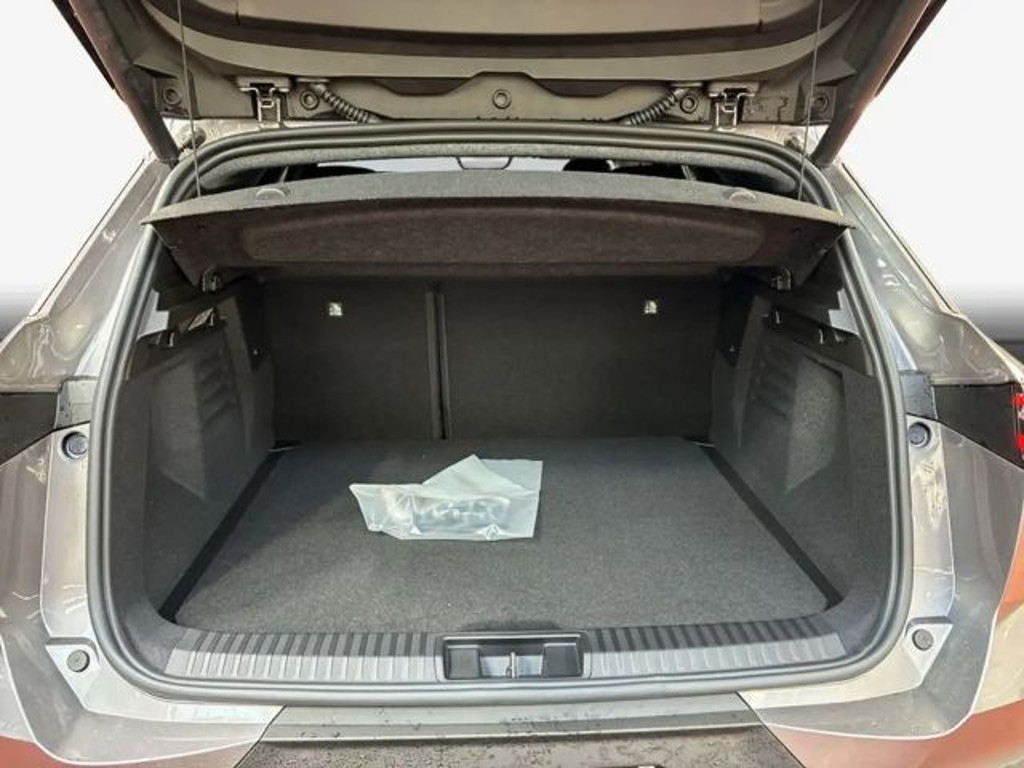 Mitsubishi Grandis