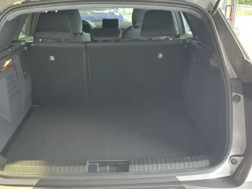 Mitsubishi Grandis