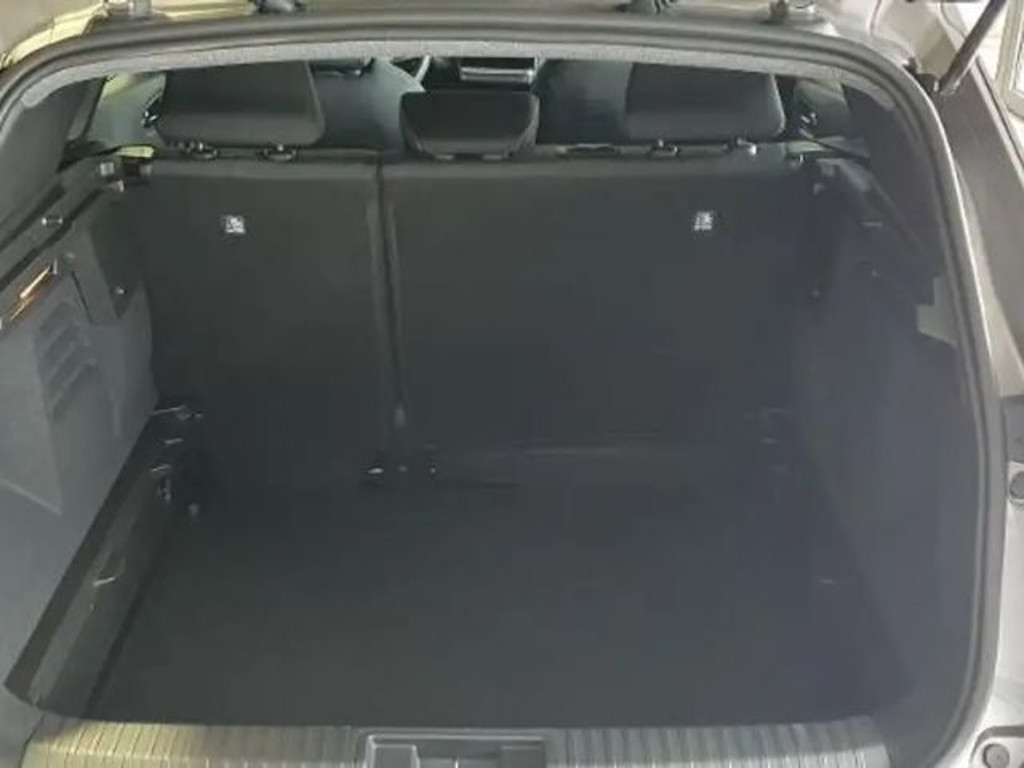 Mitsubishi Grandis