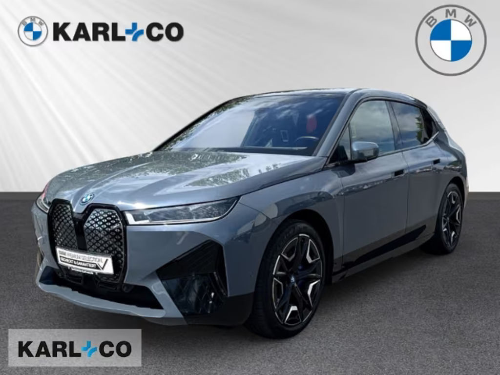BMW iX 40xDrive Sportpaket Soft-Close ACC Sky-Lounge