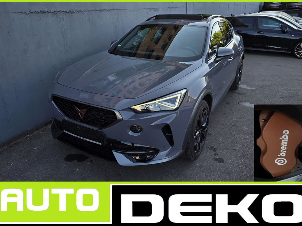 Cupra Formentor 2.0 TSI DSG VZ