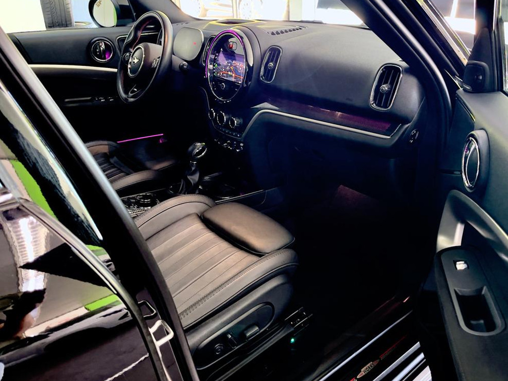 Mini Mini Electric