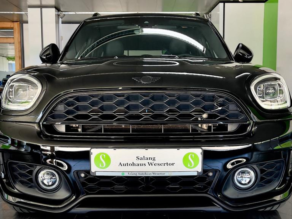 Mini Mini Electric