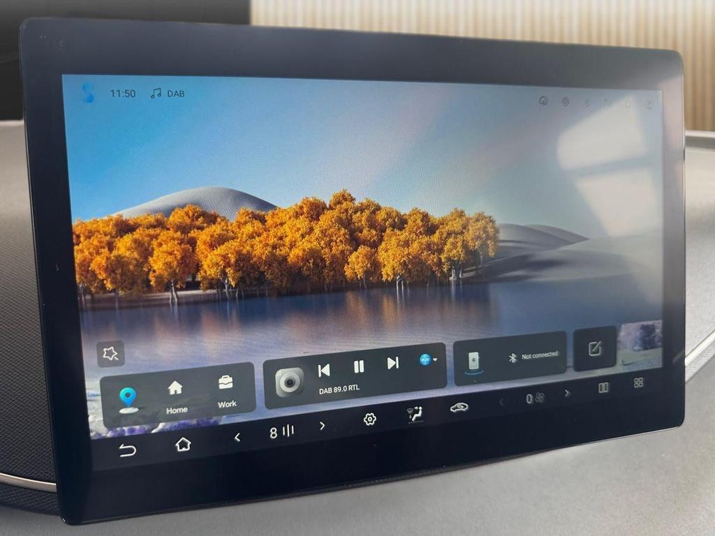 BYD Dolphin Surf