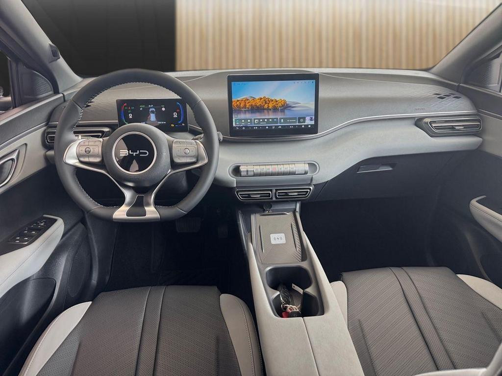BYD Dolphin Surf