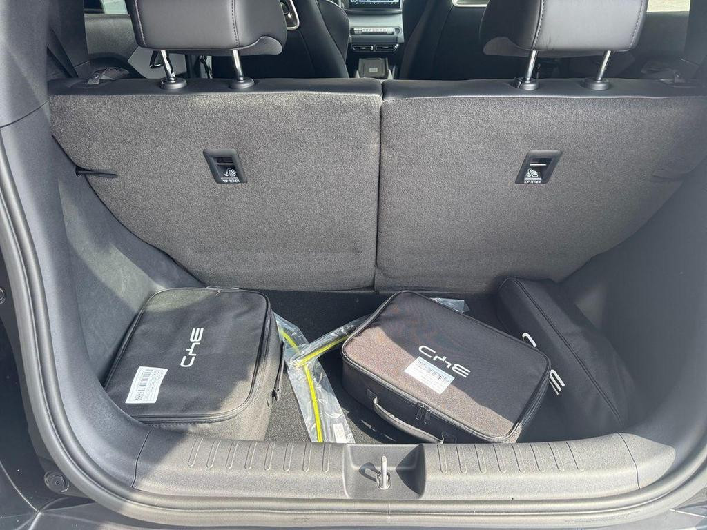 BYD Dolphin Surf