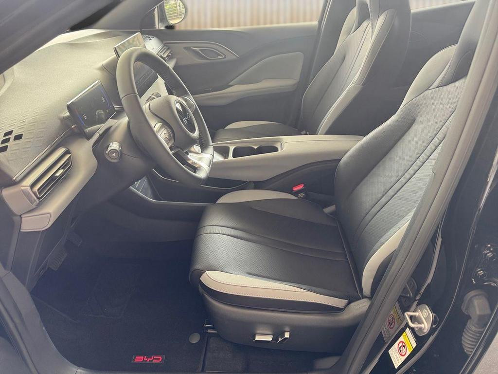 BYD Dolphin Surf