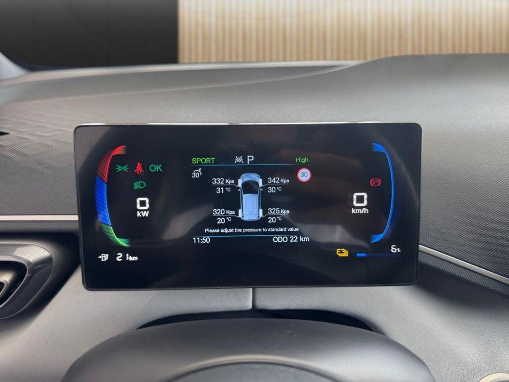 BYD Dolphin Surf