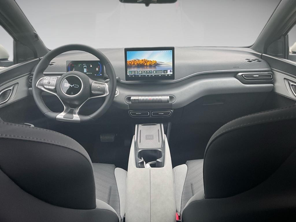 BYD Dolphin Surf