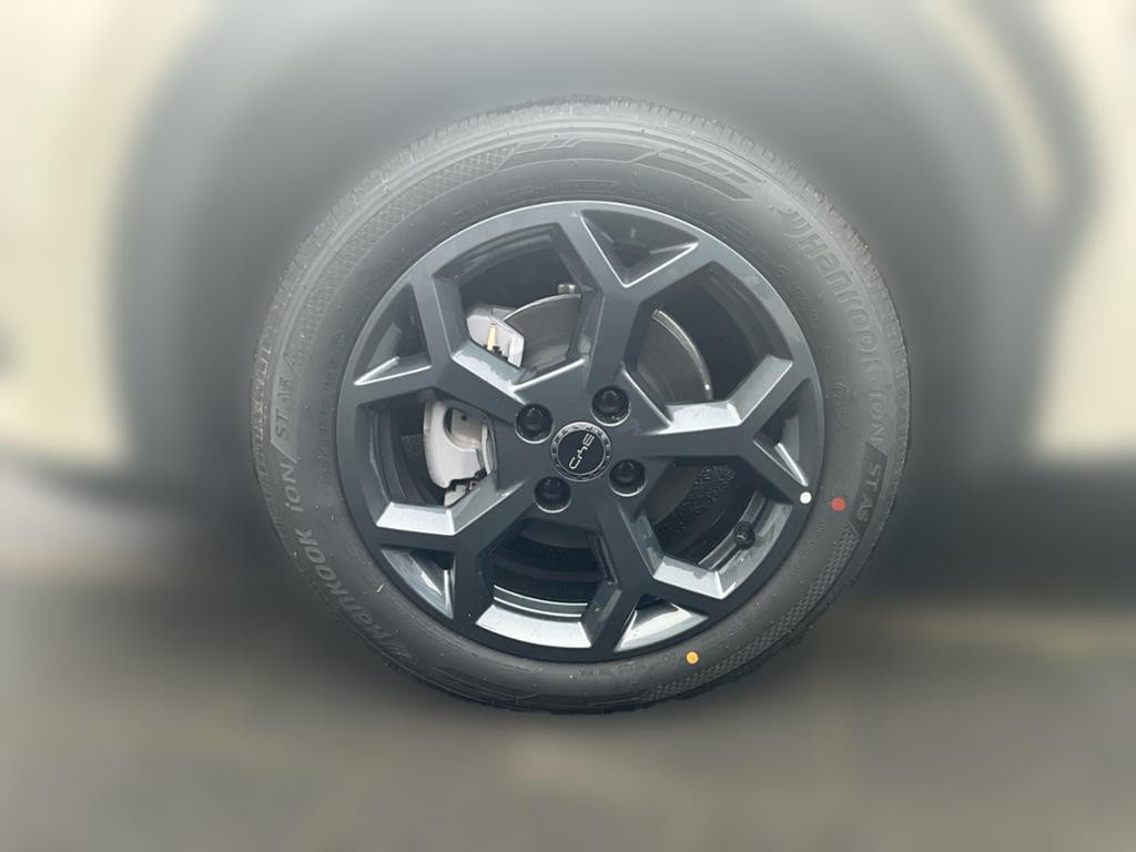 BYD Dolphin Surf