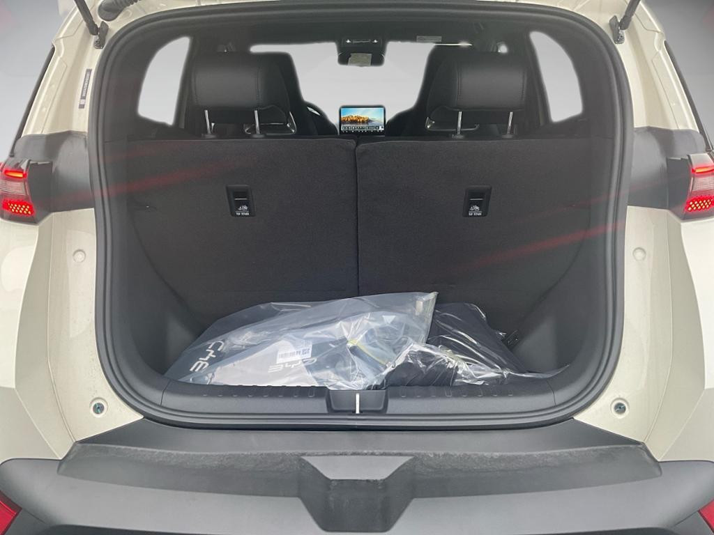 BYD Dolphin Surf