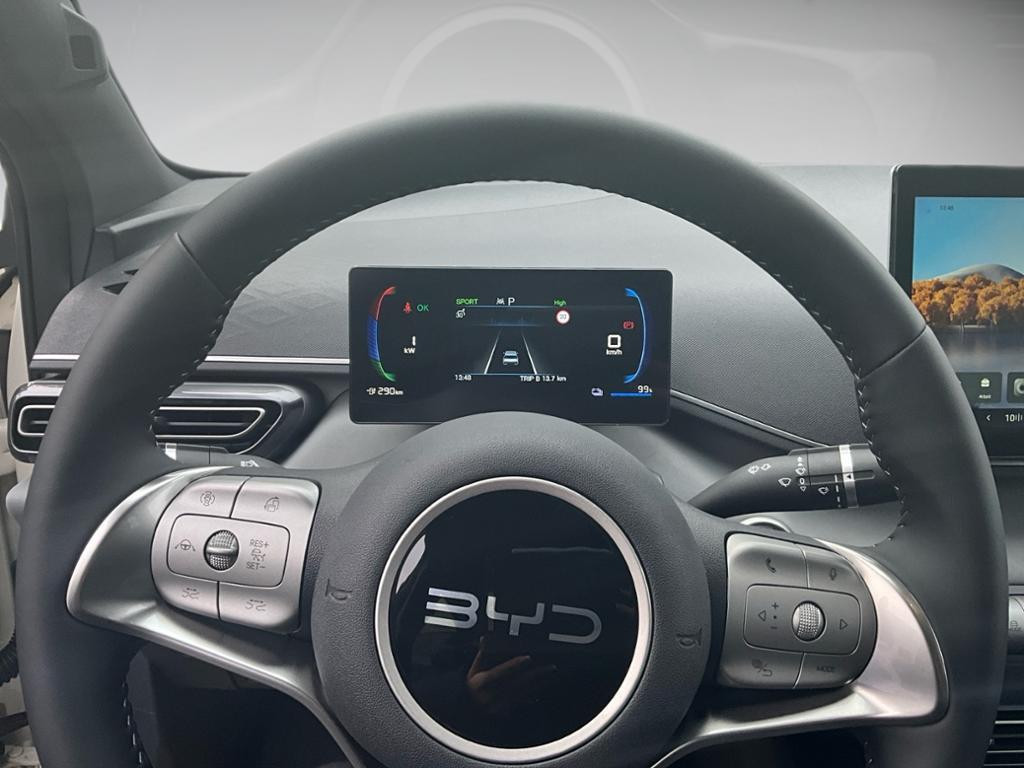 BYD Dolphin Surf