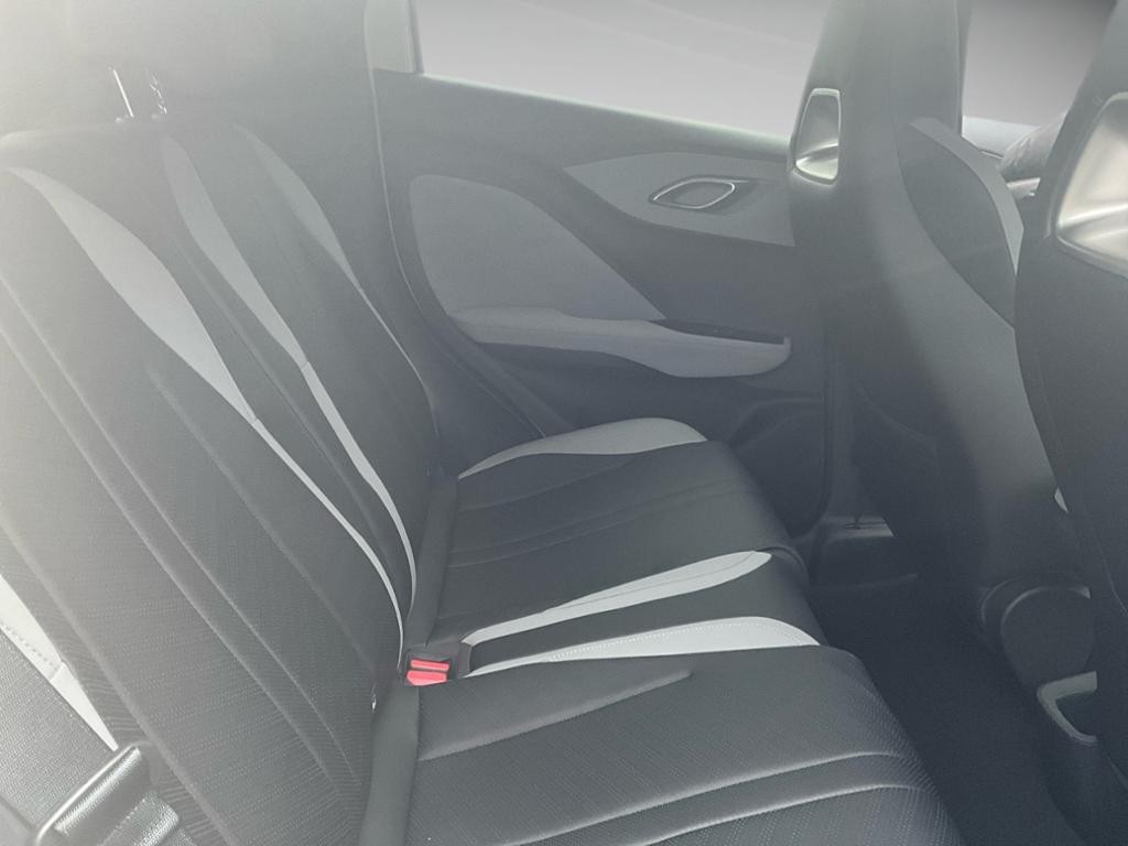 BYD Dolphin Surf