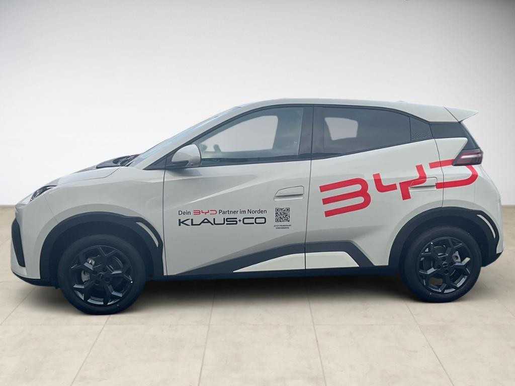 BYD Dolphin Surf