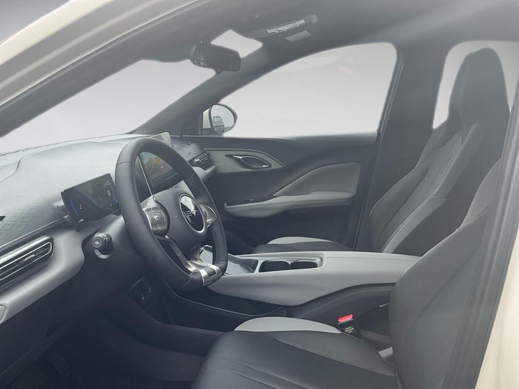 BYD Dolphin Surf