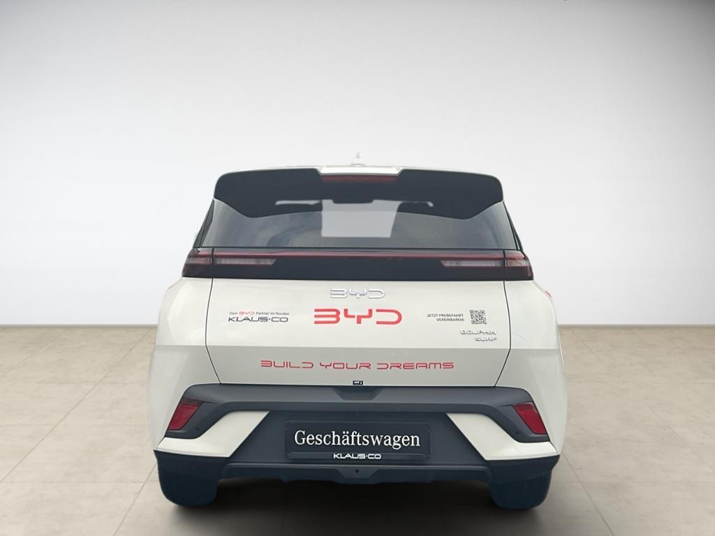 BYD Dolphin Surf