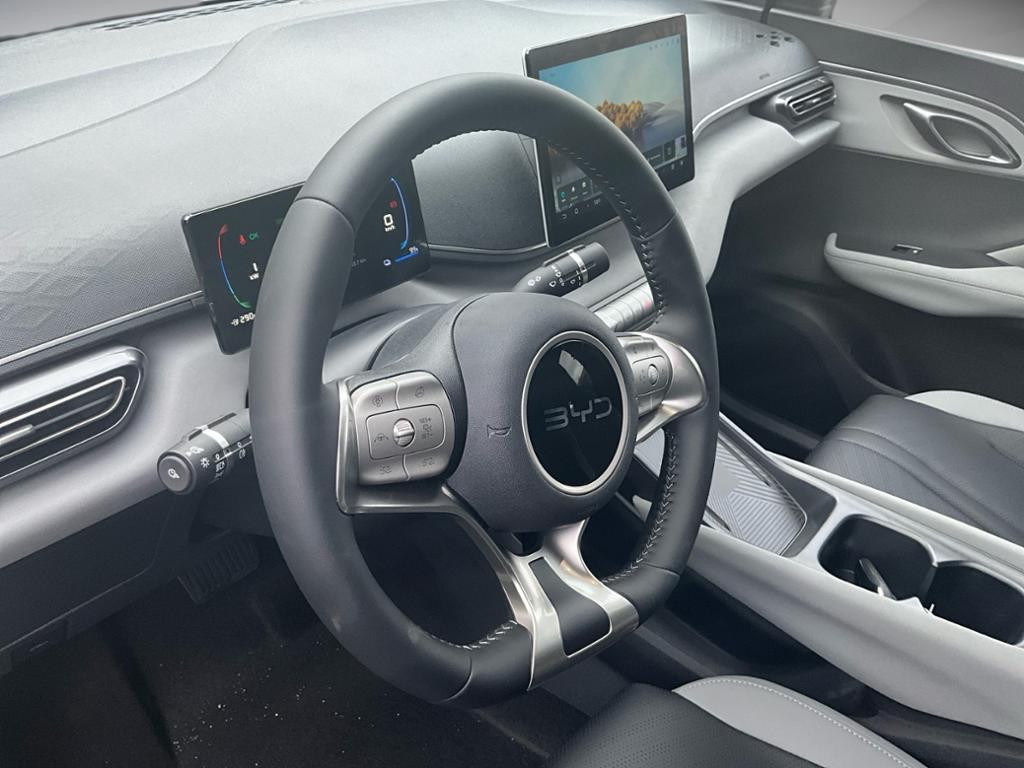 BYD Dolphin Surf