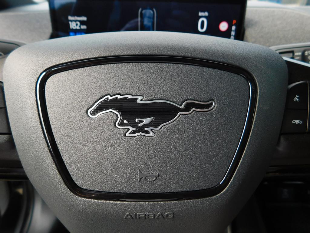 Ford Mustang Mach-E