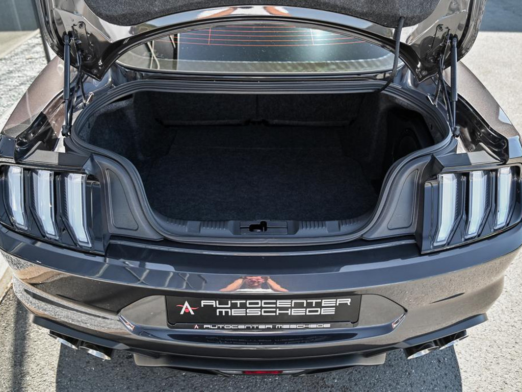 Ford Mustang Mach-E