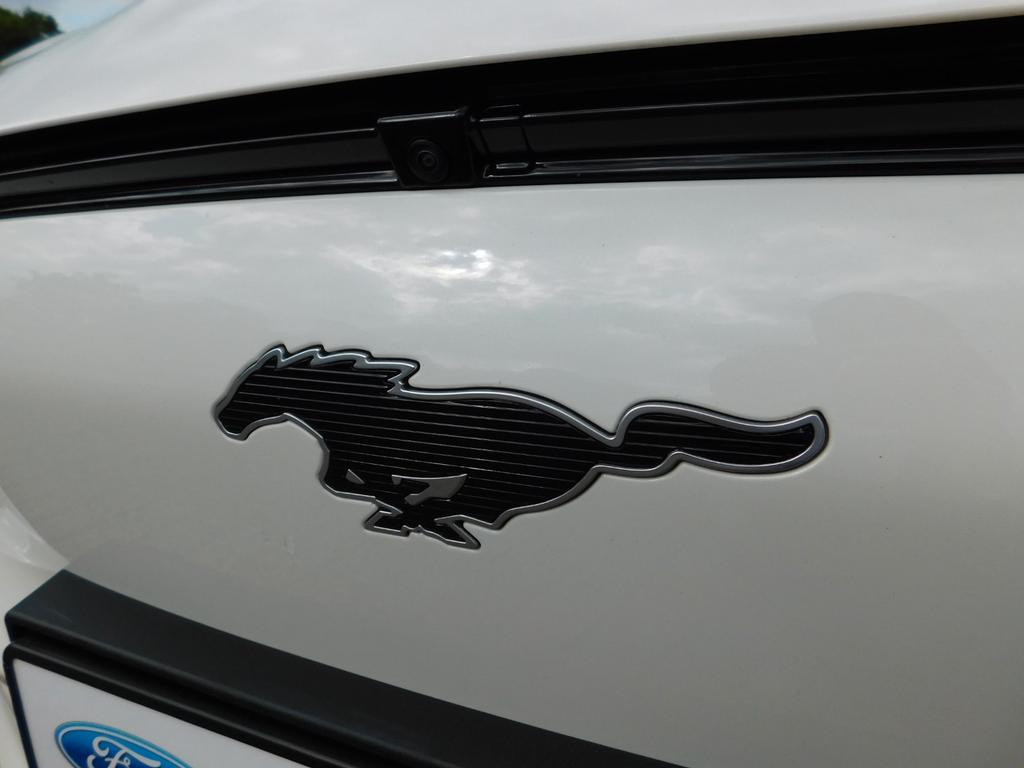 Ford Mustang Mach-E