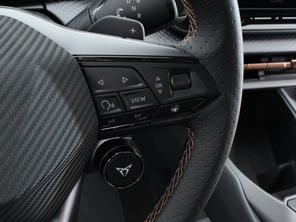 Cupra Raval