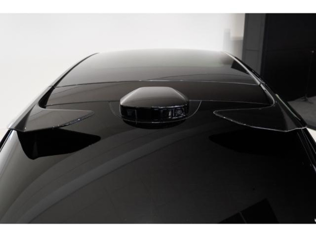 Lotus Eletre