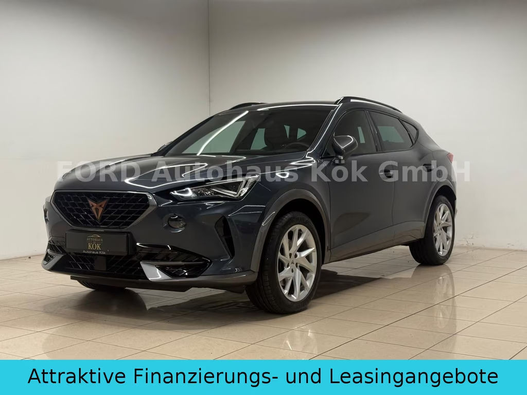 Cupra Formentor ACC 360 VirtualCockpit AHK LED 8 Fach