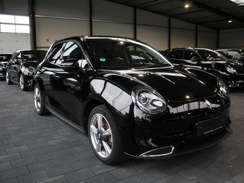 Ora Funky Cat