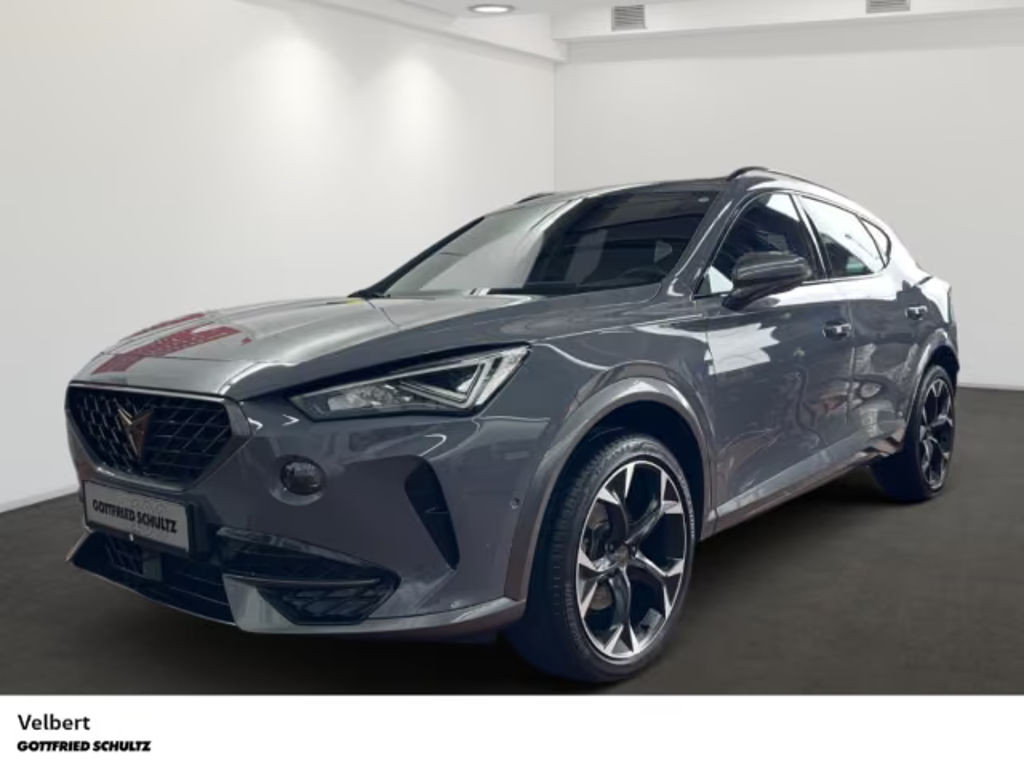 Cupra Formentor 2.0 TSI DSG