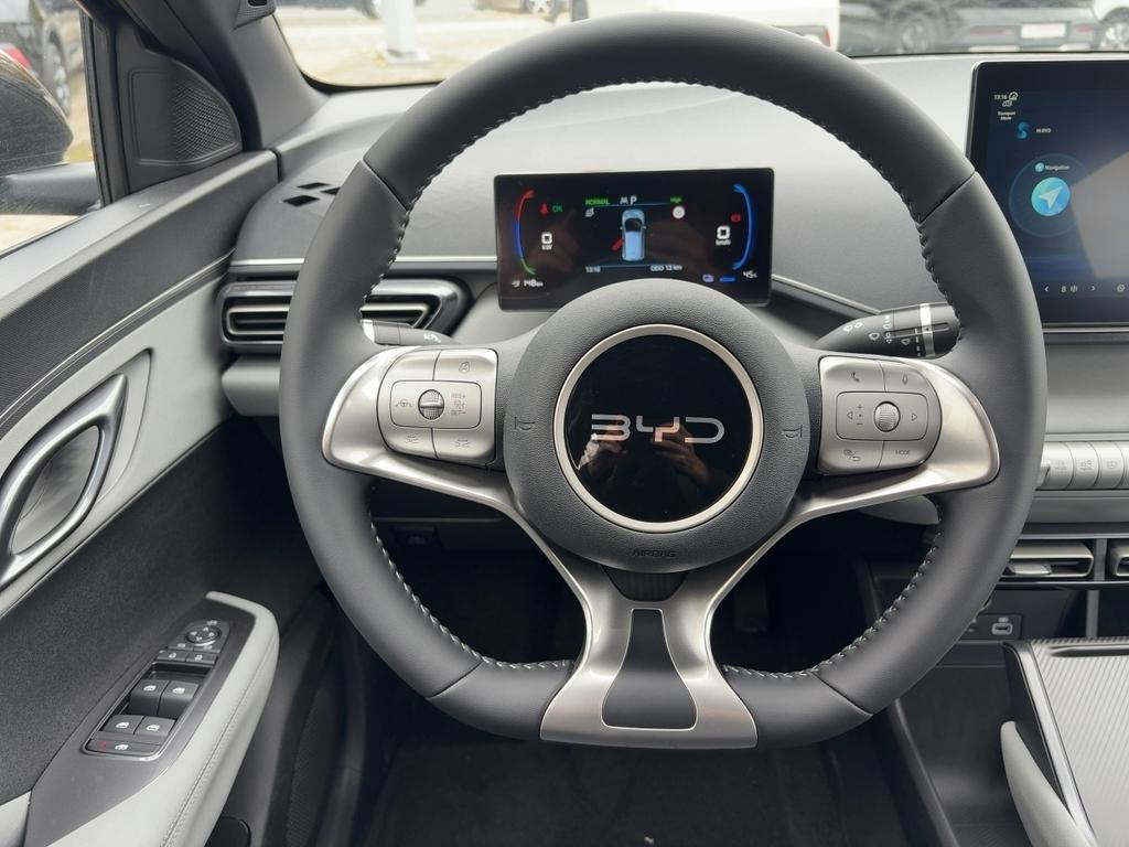BYD Dolphin Surf