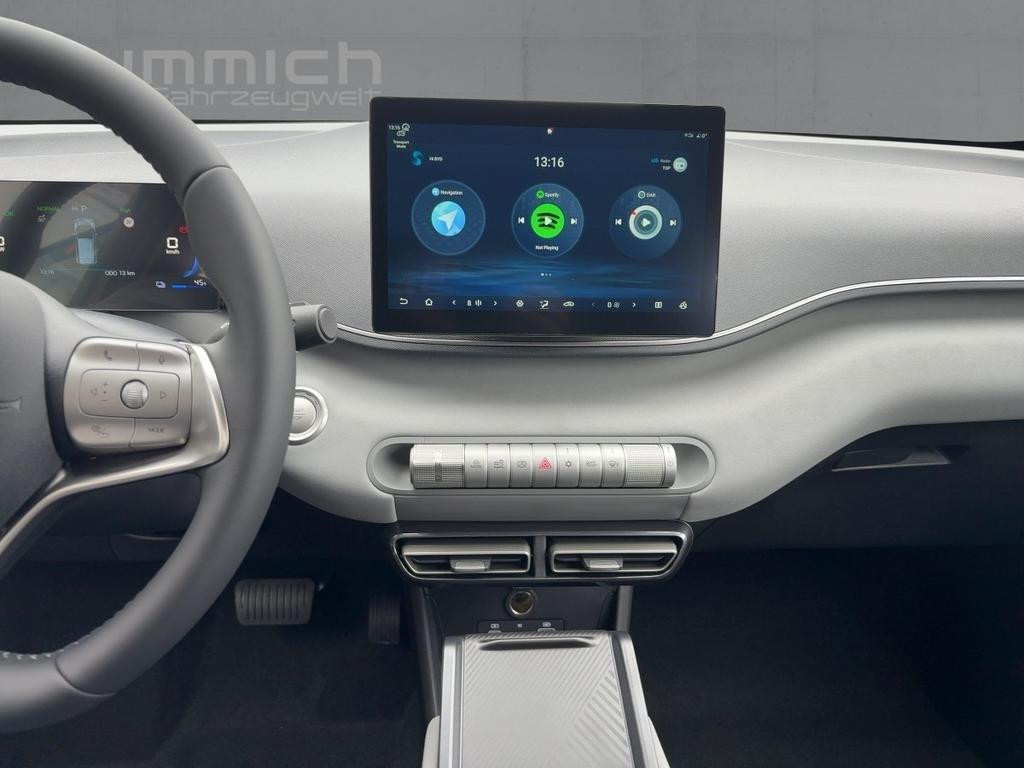 BYD Dolphin Surf