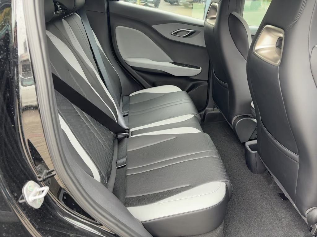BYD Dolphin Surf