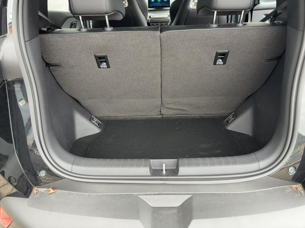 BYD Dolphin Surf